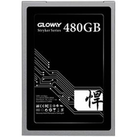 Gloway STK Series Internal SSD - 480GB
