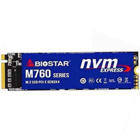 BIOSTAR M760 PCIe NVMe SSD - 256GB