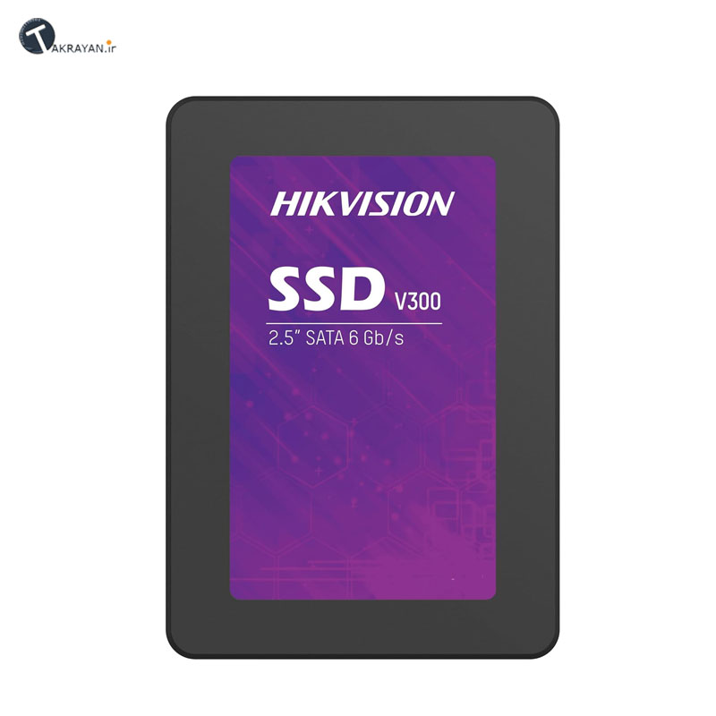 Hikvision V300