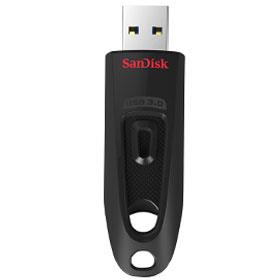 SanDisk Ultra CZ48 Flash Memory - 256GB