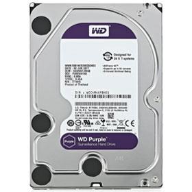 Western Digital Purple WD100PURZ Internal Hard Drive - 10TB